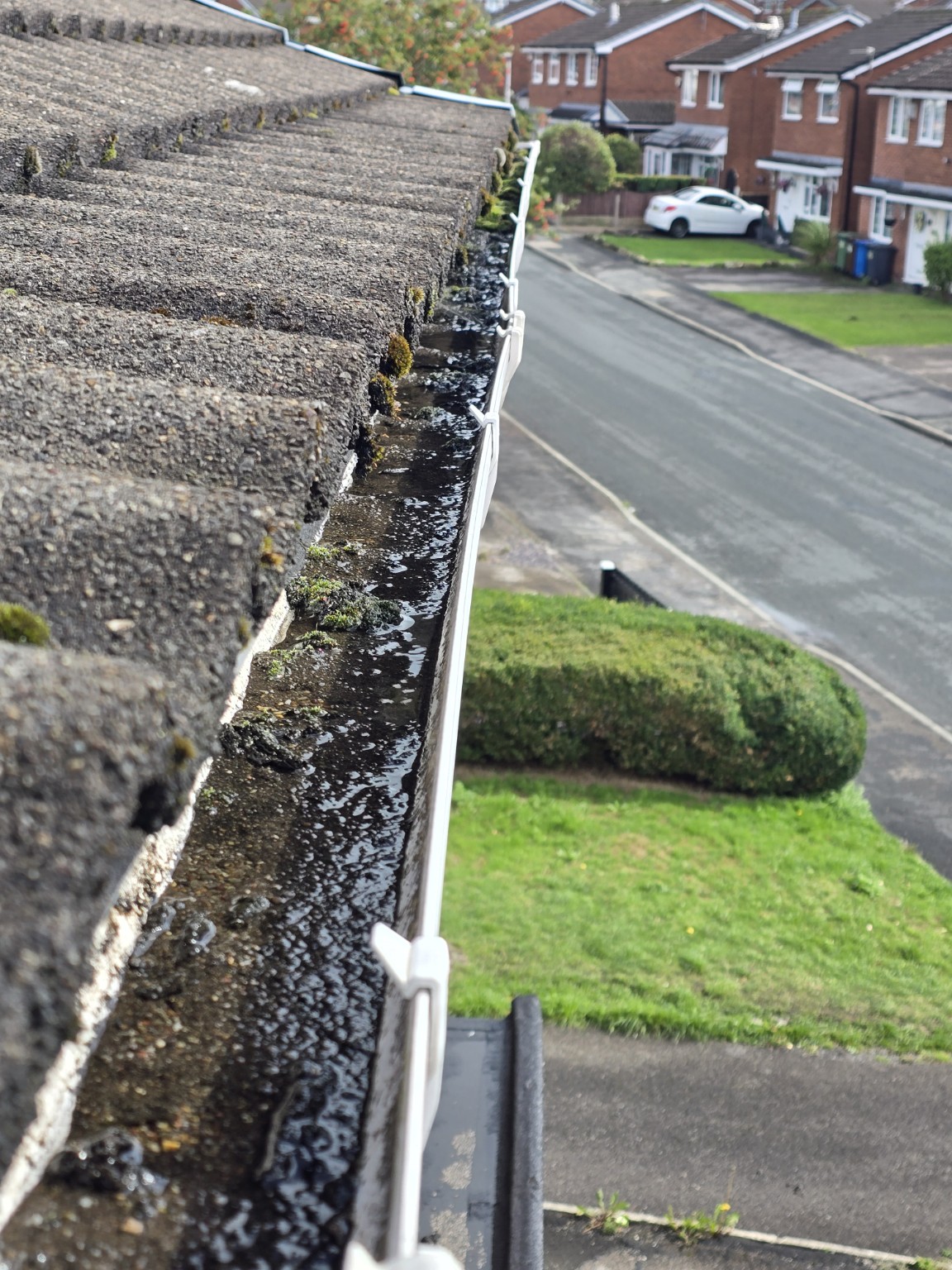 Before clearing: gutter filled with debris and standing water